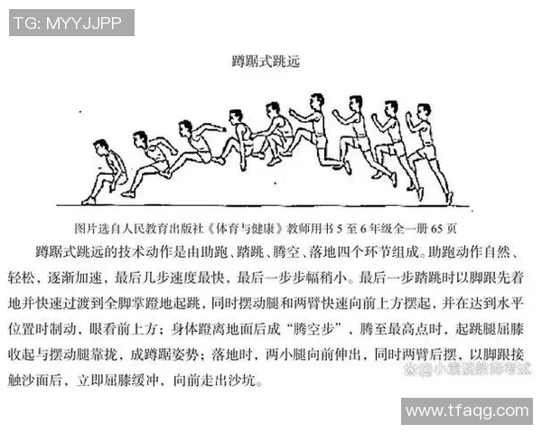 丰富多彩的户外体育游戏活动教案设计与实施方案探讨