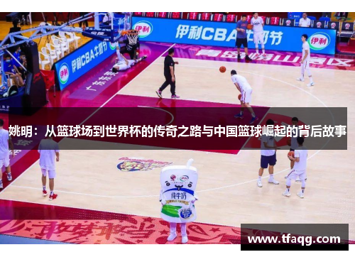 姚明：从篮球场到世界杯的传奇之路与中国篮球崛起的背后故事