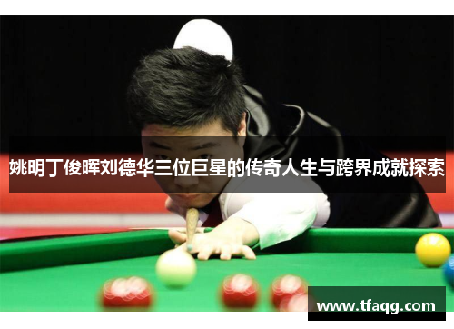 姚明丁俊晖刘德华三位巨星的传奇人生与跨界成就探索