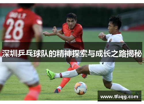 深圳乒乓球队的精神探索与成长之路揭秘