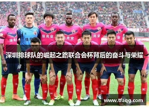 深圳排球队的崛起之路联合会杯背后的奋斗与荣耀