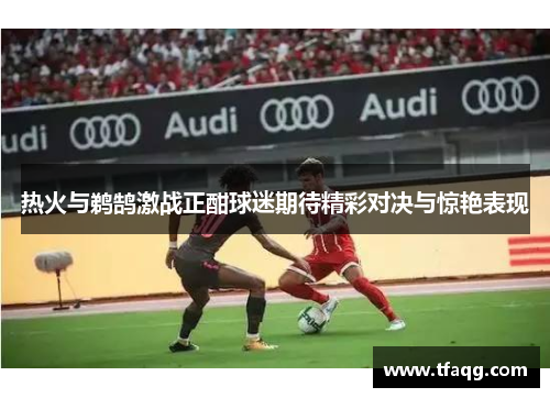 热火与鹈鹄激战正酣球迷期待精彩对决与惊艳表现