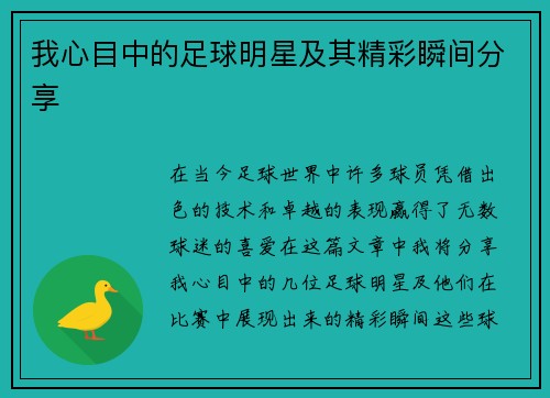 我心目中的足球明星及其精彩瞬间分享
