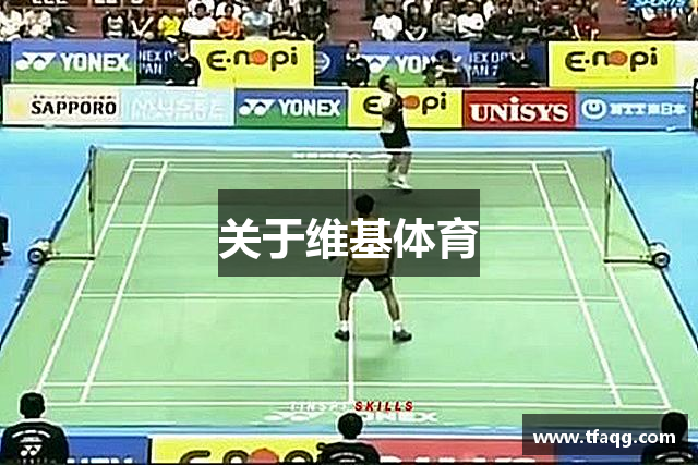 关于维基体育
